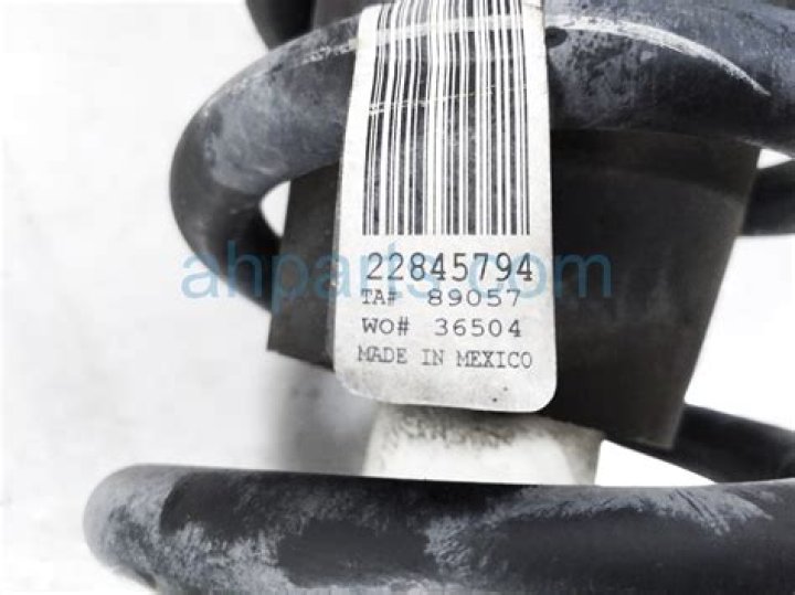 Montana of 300 Net Worth: Details About Songs, Lyrics, Gf, Height, Age - SarkariResult