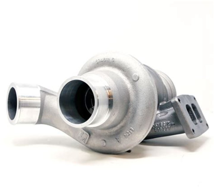 Who are Ava Kolker Buss Parents Parents? - Family & Biography Details - SarkariResult