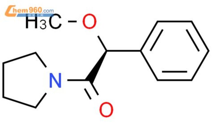 Sarah Kohan Net Worth 2023 : Biography, Age, Family, Religion, Salary, Income & Assets - SarkariResult