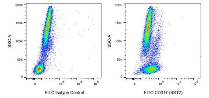 Jennifer Wingate Saluda SC, Band Director and Coach Died in Irmo Car Accident - SarkariResult